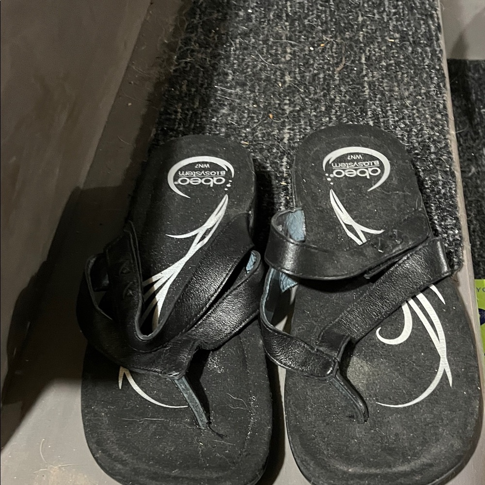 Abeo Black Flip-Flop Sandals